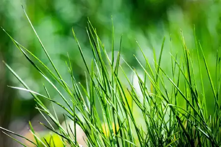 Eladó családi ház, Abony 3 szoba 20 m² 500 M Ft