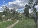 Pest megye - Acsa
