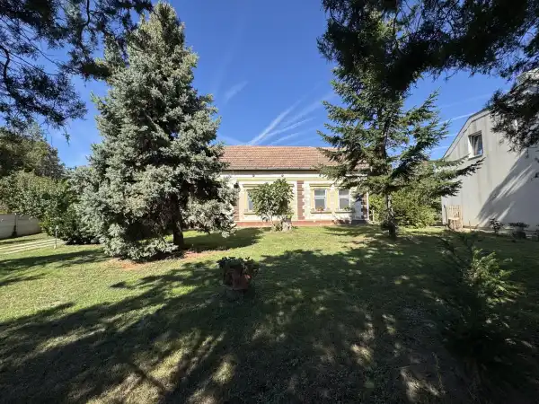 Eladó családi ház, Ádánd 6 szoba 207 m² 180 M Ft