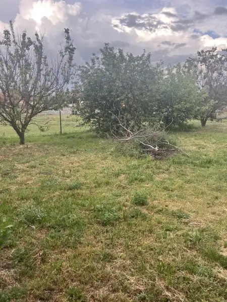 Eladó családi ház, Albertirsa 2 szoba 53 m² 23 M Ft