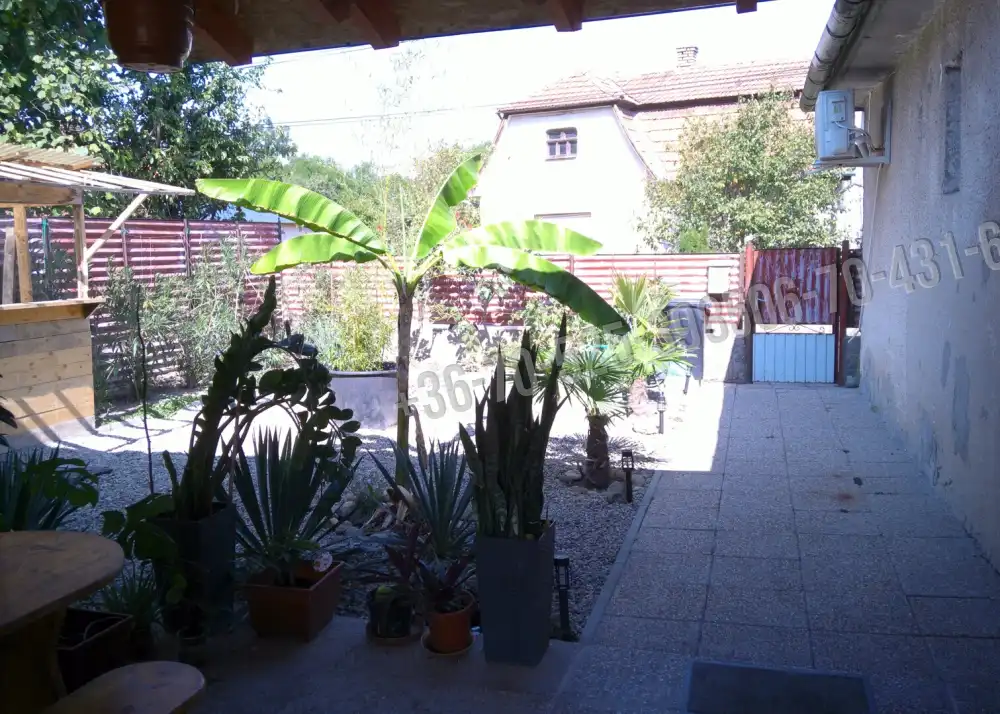 Pest megye - Albertirsa