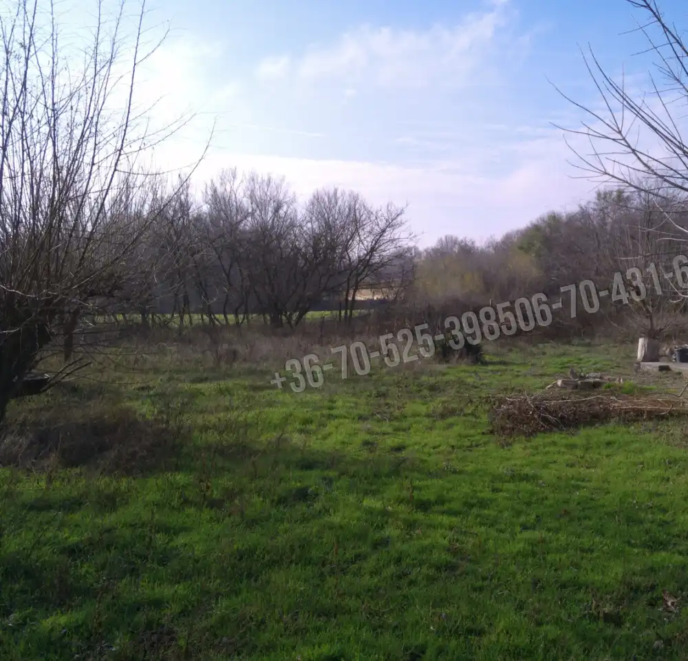 Pest megye - Albertirsa