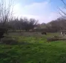 Pest megye - Albertirsa