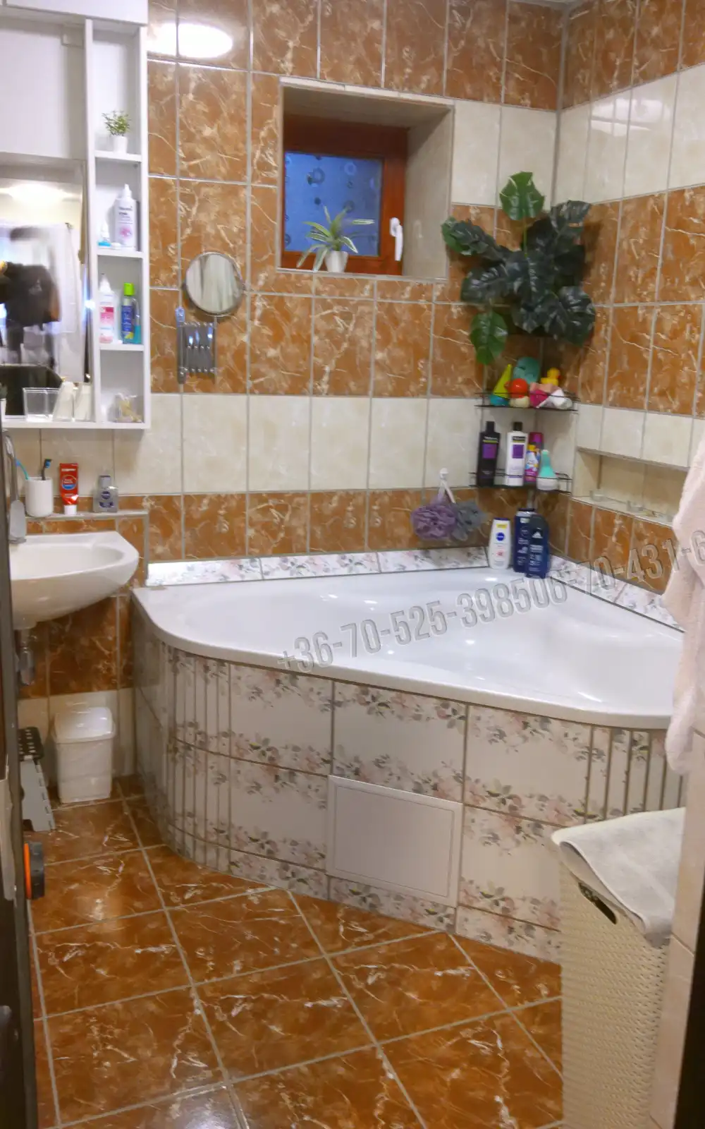 Pest megye - Albertirsa