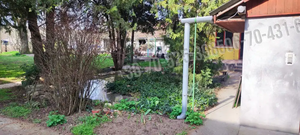 Pest megye - Albertirsa