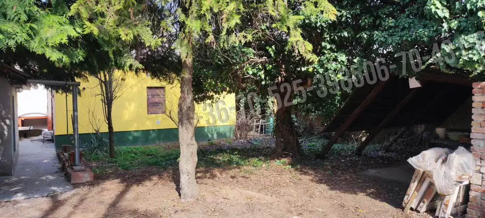 Pest megye - Albertirsa