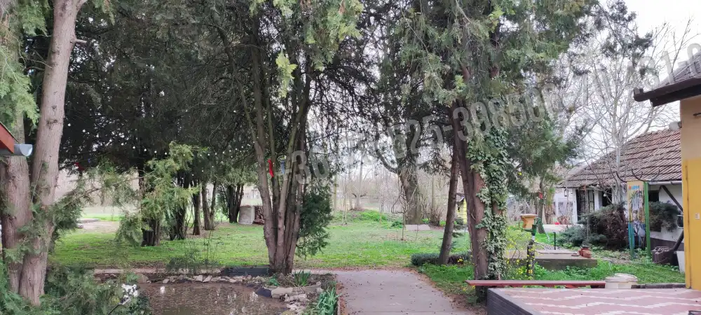 Pest megye - Albertirsa