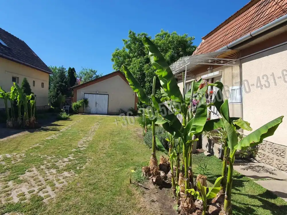 Pest megye - Albertirsa