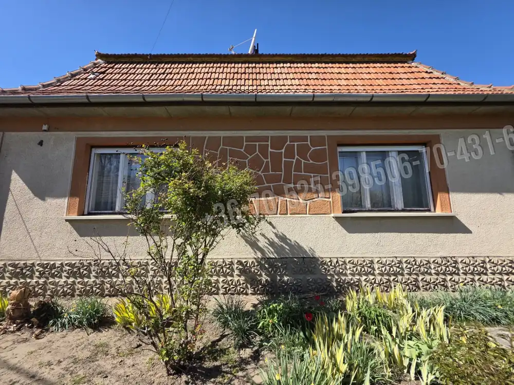 Pest megye - Albertirsa