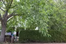 Pest megye - Albertirsa