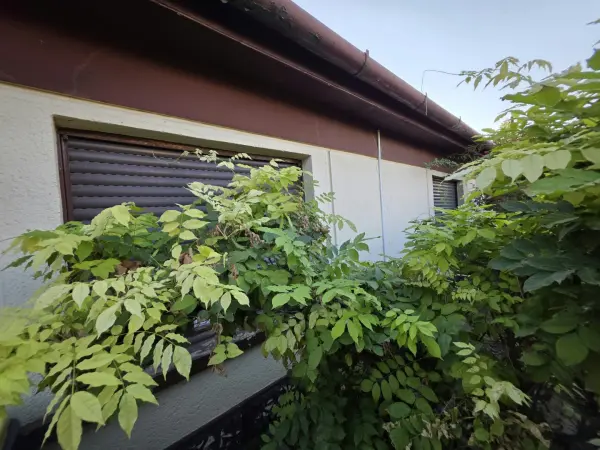 Eladó családi ház, Albertirsa 4 szoba 81 m² 54.9 M Ft