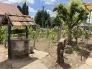 Fejér megye - Alsószentiván