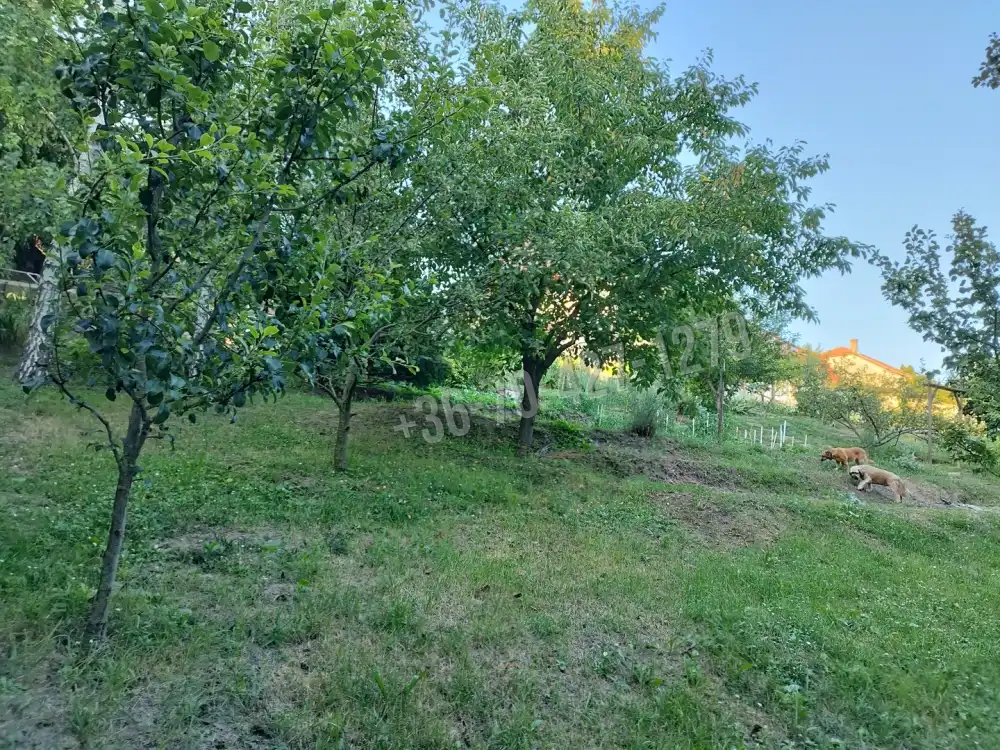 Komárom-Esztergom megye - Annavölgy