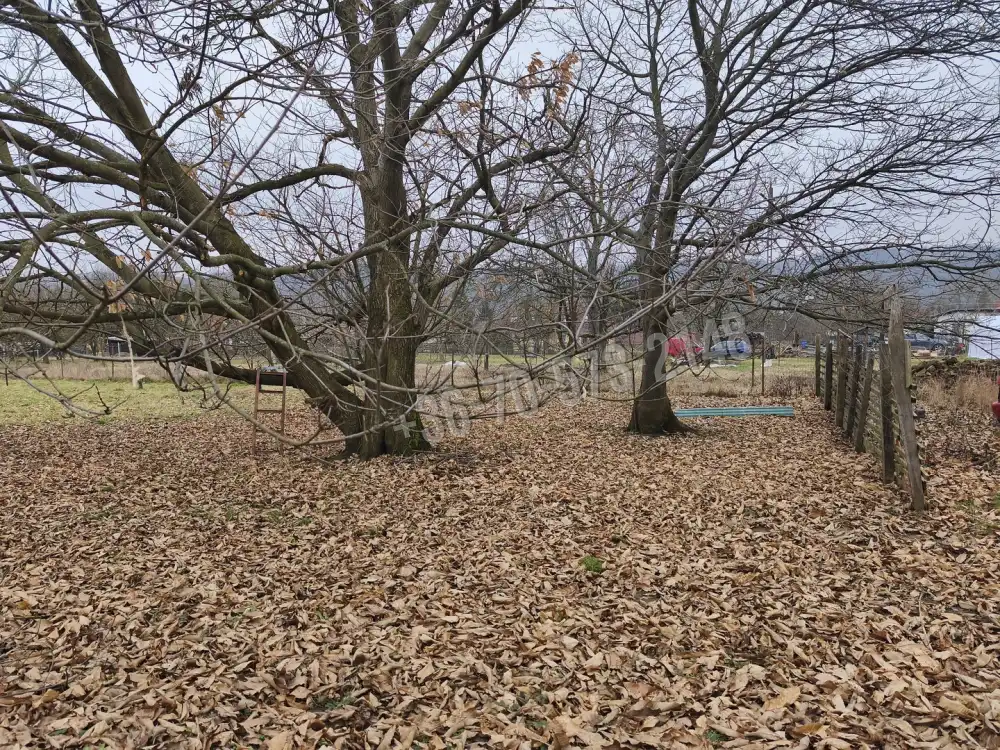 Zala megye - Babosdöbréte