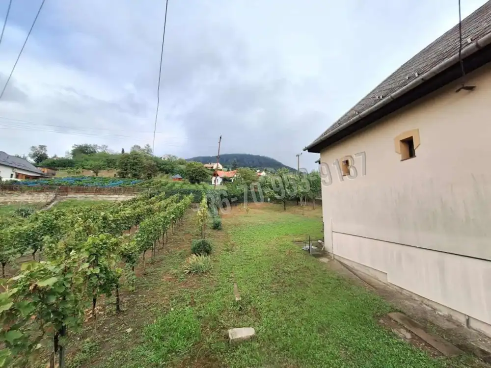 Veszprém megye - Badacsonytomaj