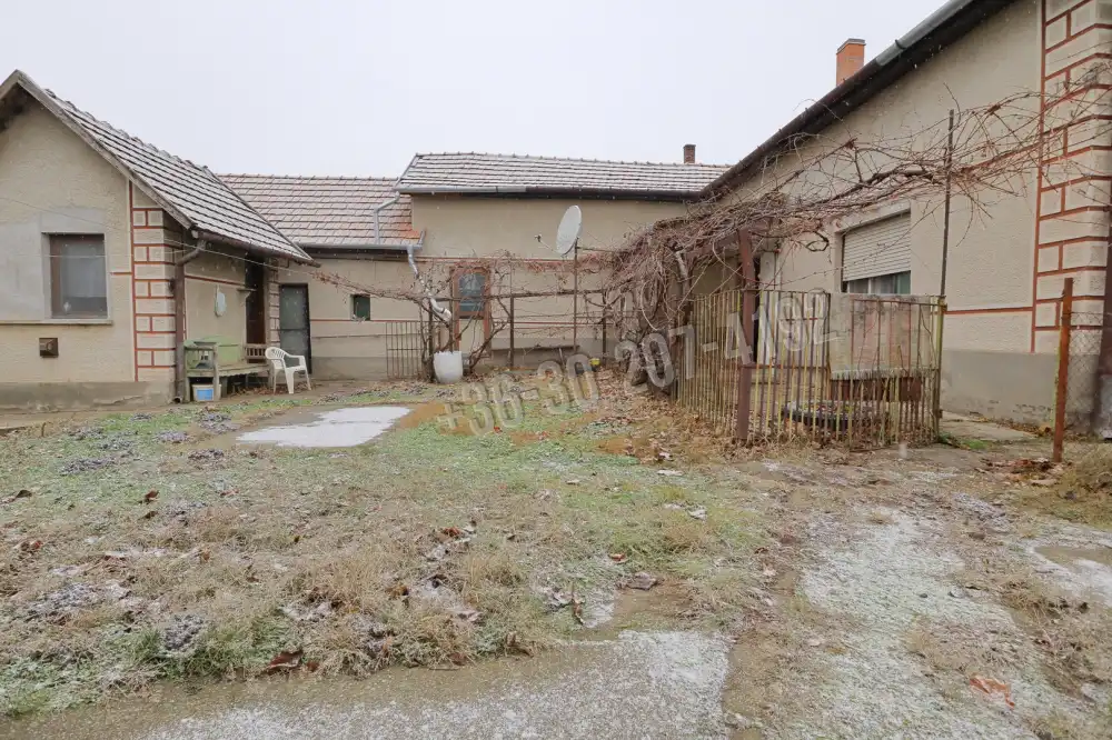 Csongrád megye - Baks