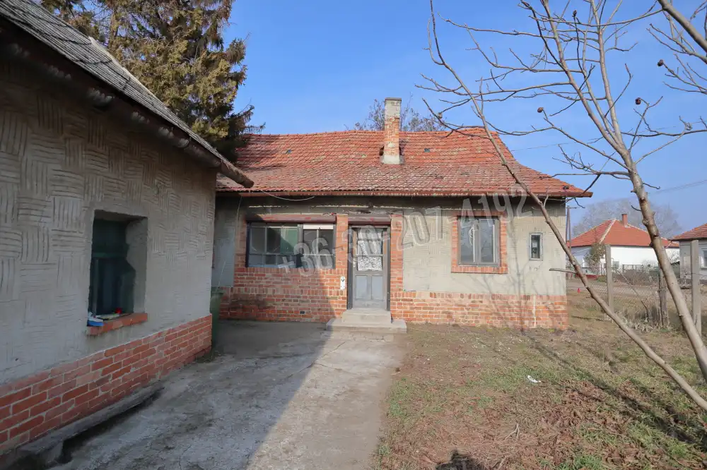 Csongrád megye - Baks