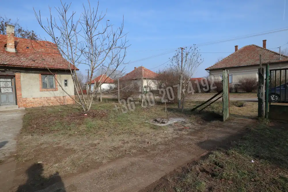 Csongrád megye - Baks