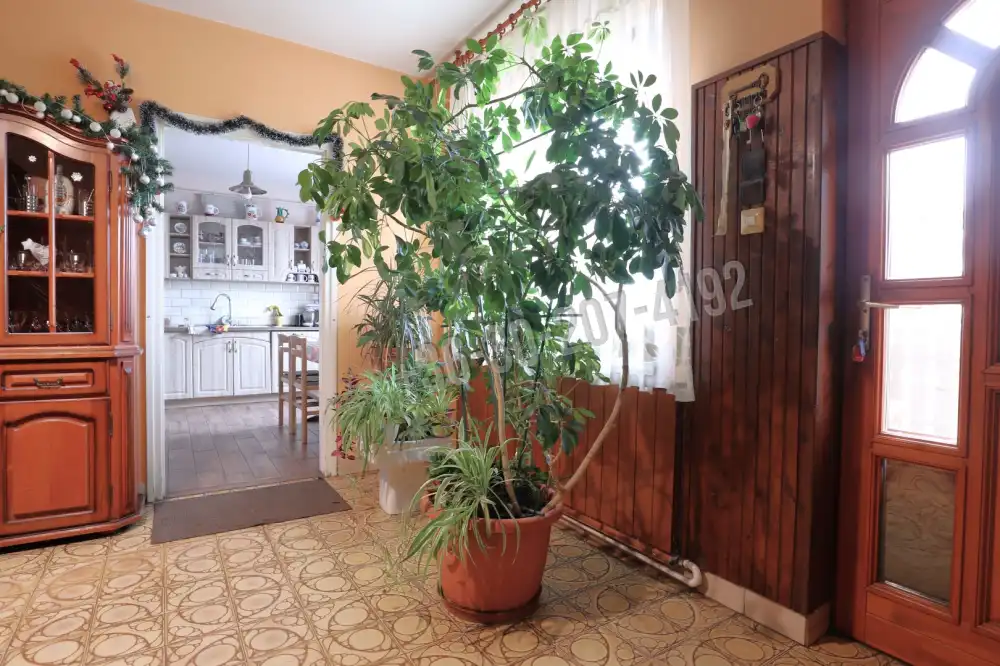 Csongrád megye - Balástya