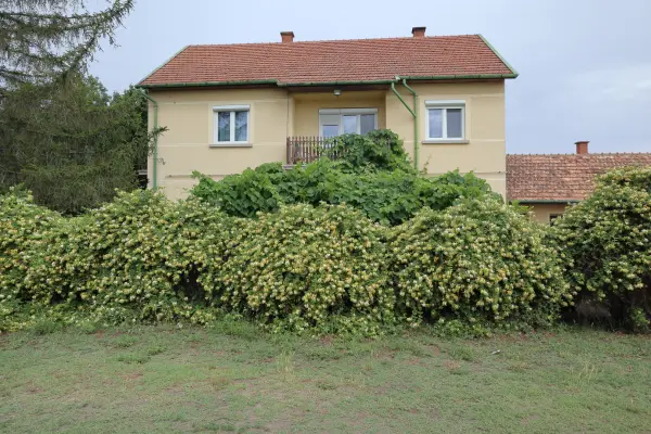 Eladó családi ház, Balástya 5 szoba 200 m² 79.9 M Ft