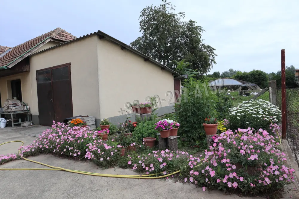 Csongrád megye - Balástya