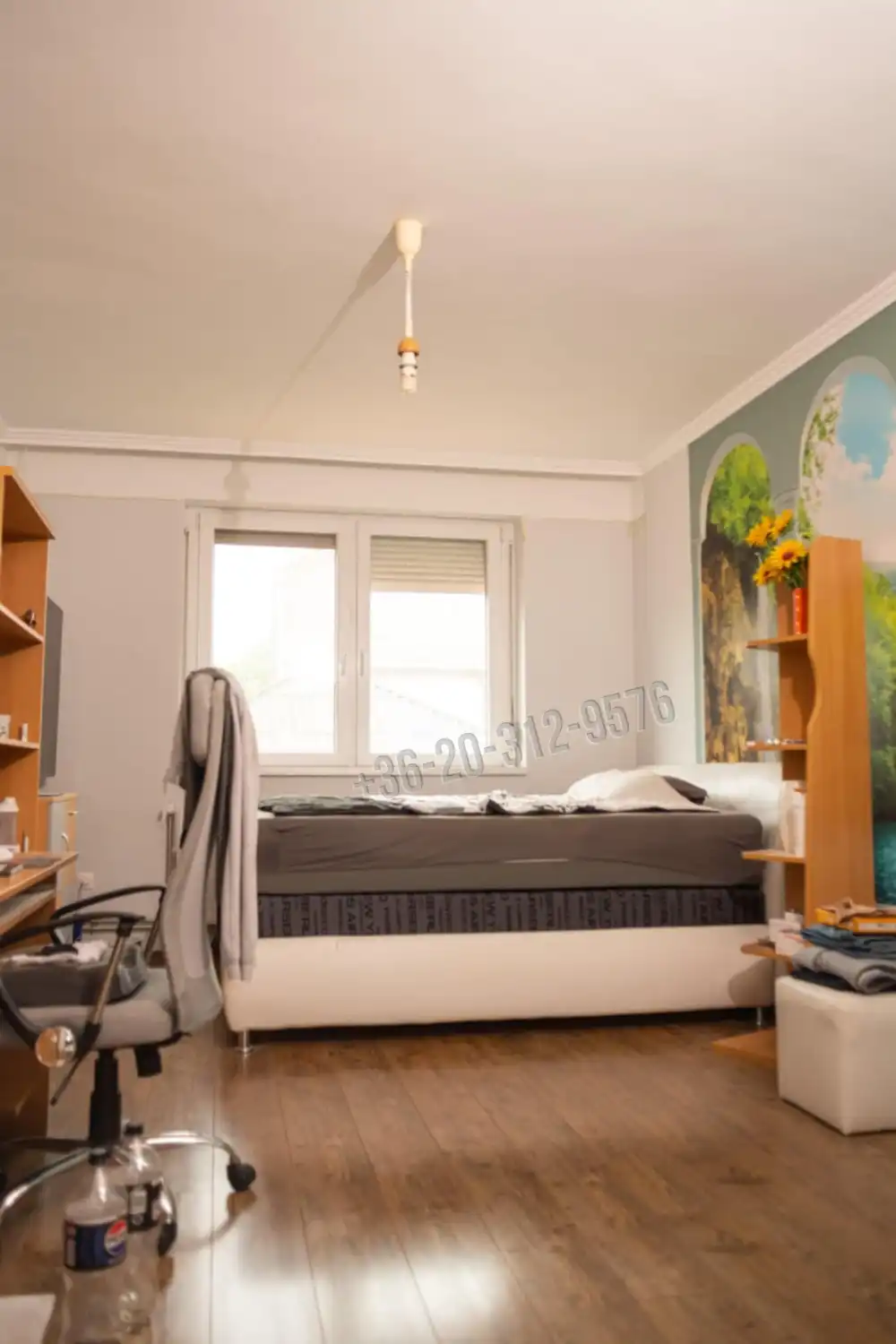 Békés megye - Békéscsaba