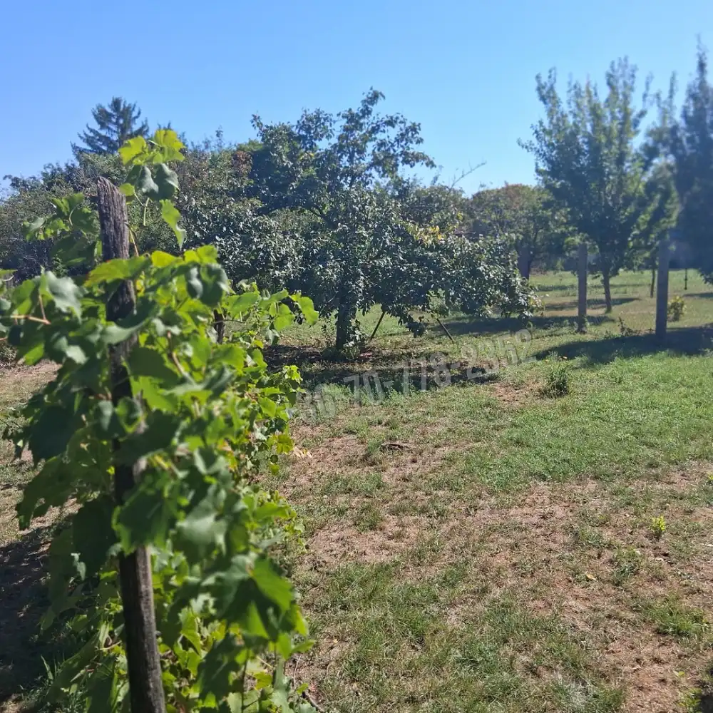 Békés megye - Békéscsaba