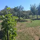 Békés megye - Békéscsaba