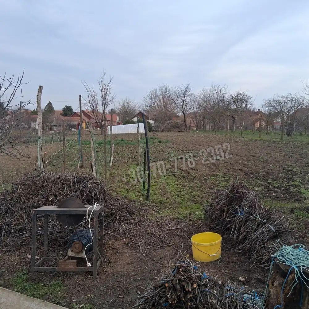 Békés megye - Békéscsaba