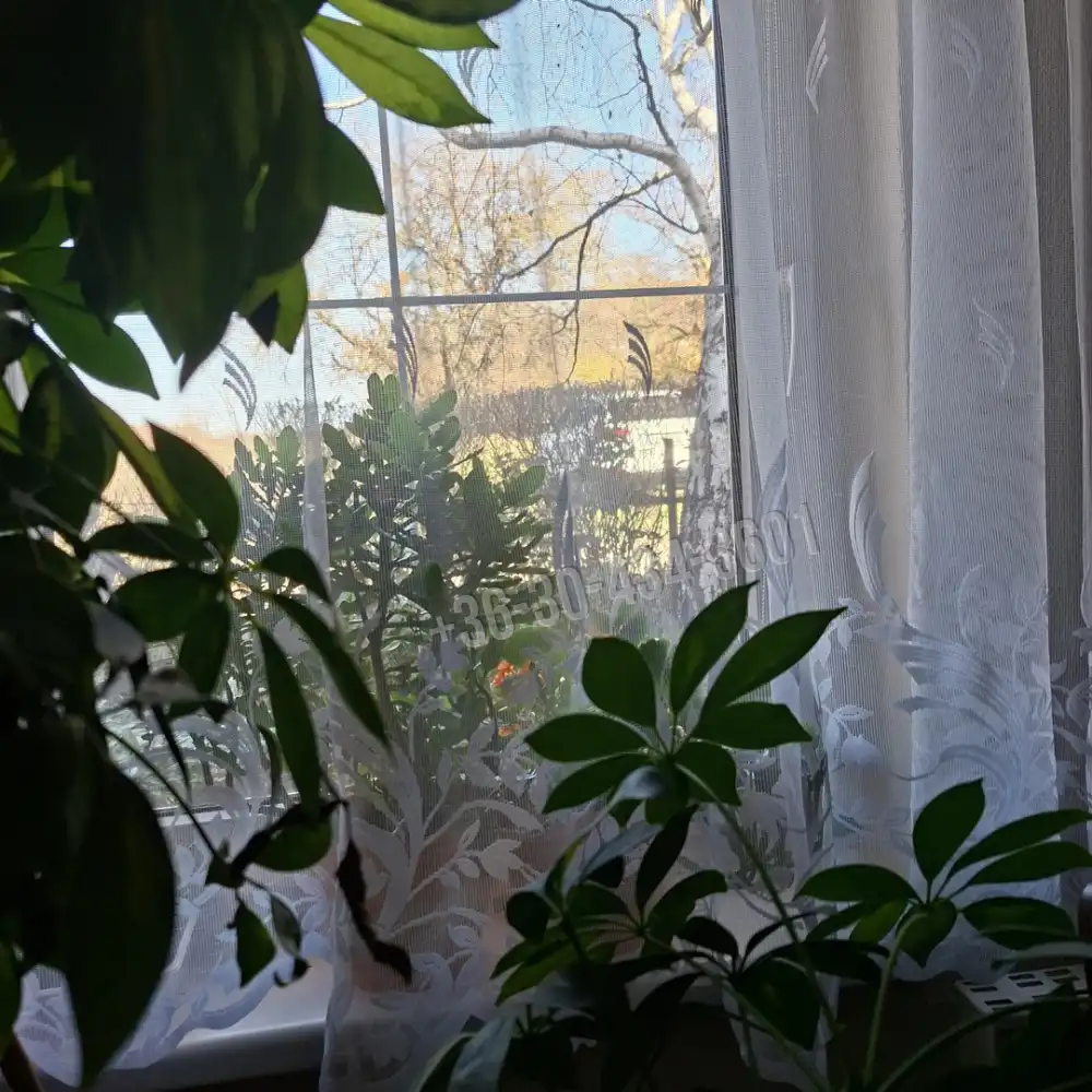 Fejér megye - Bicske