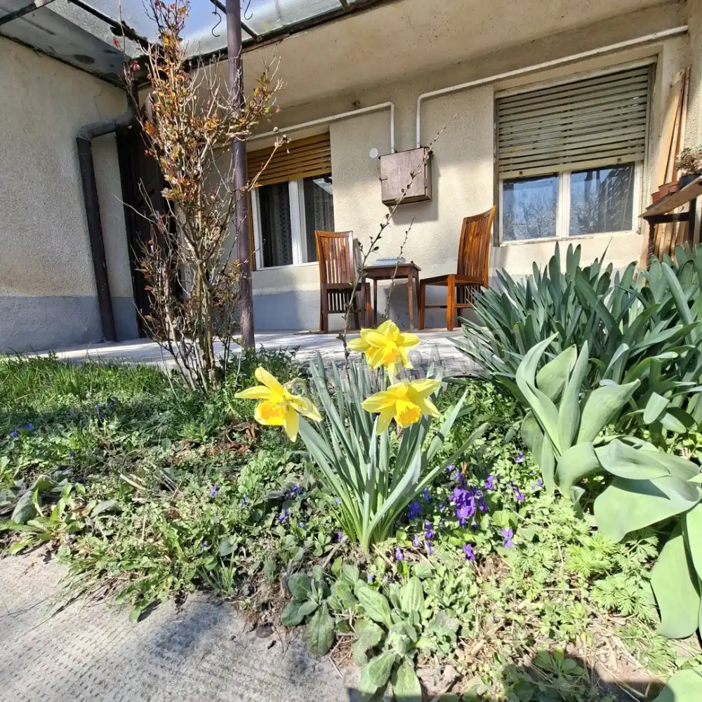 Fejér megye - Bicske