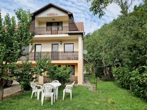 Eladó családi ház, Borsodnádasd 6+1 szoba 230 m² 35 M Ft