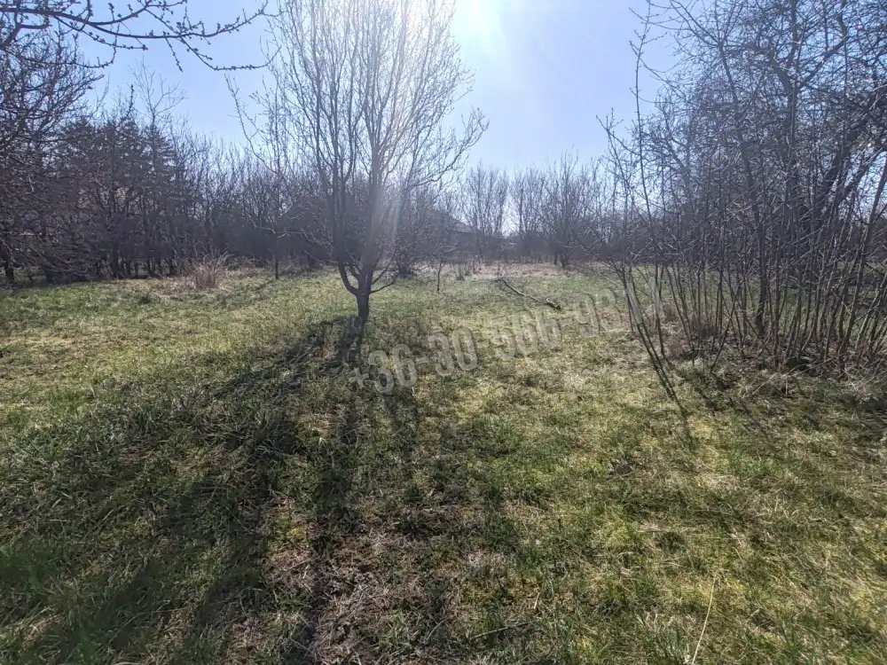 Nógrád megye - Borsosberény