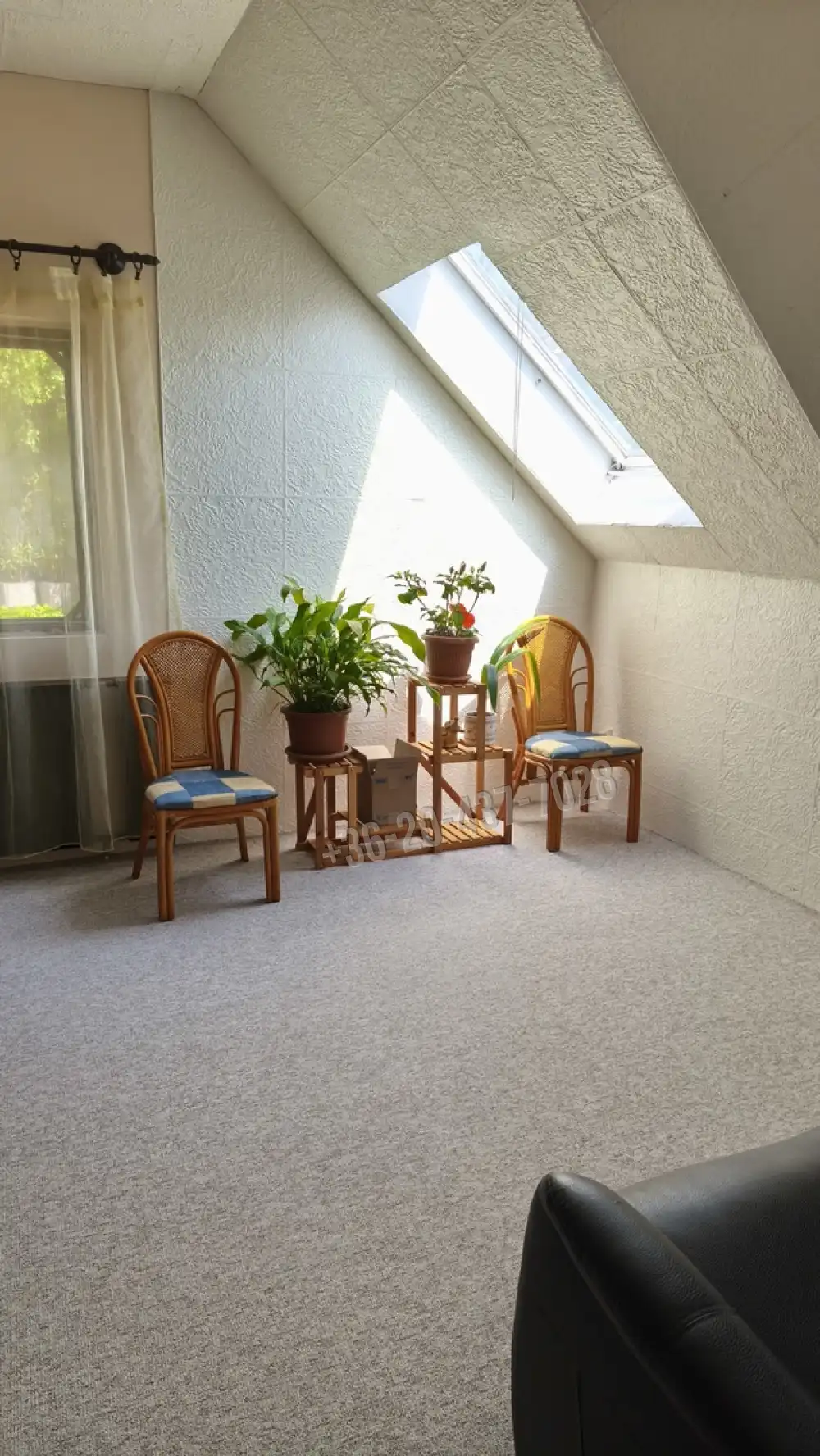 Pest megye - Budakeszi