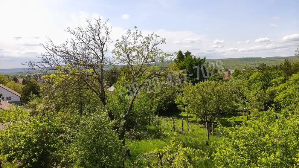 Pest megye - Budakeszi