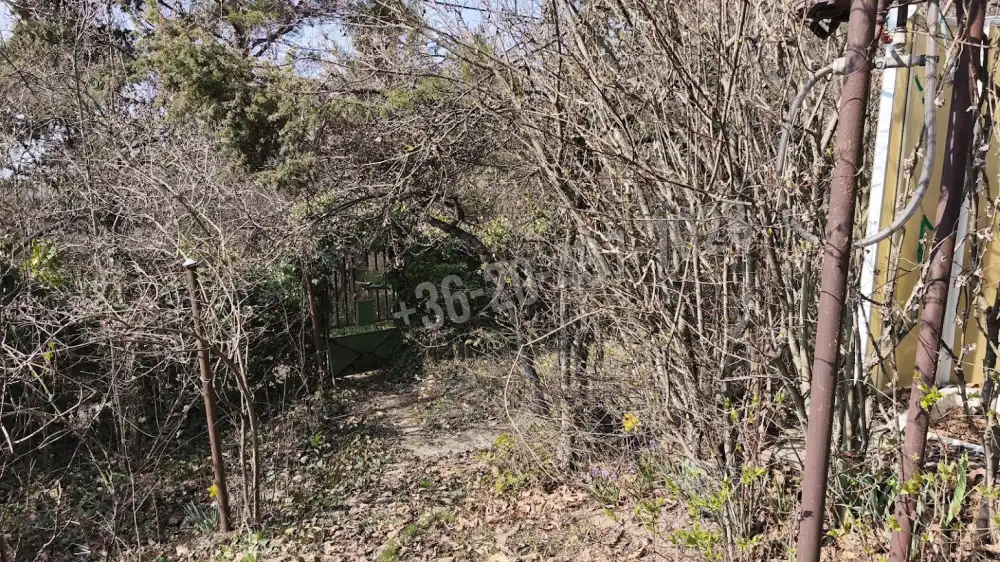 Pest megye - Budakeszi