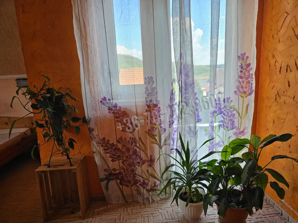 Pest megye - Budakeszi