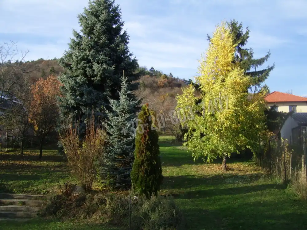 Pest megye - Budaörs