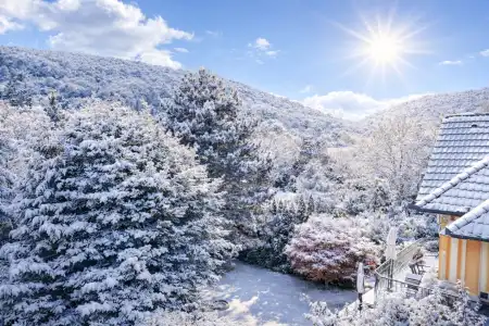 eladó családi ház, Budapest, II. kerület