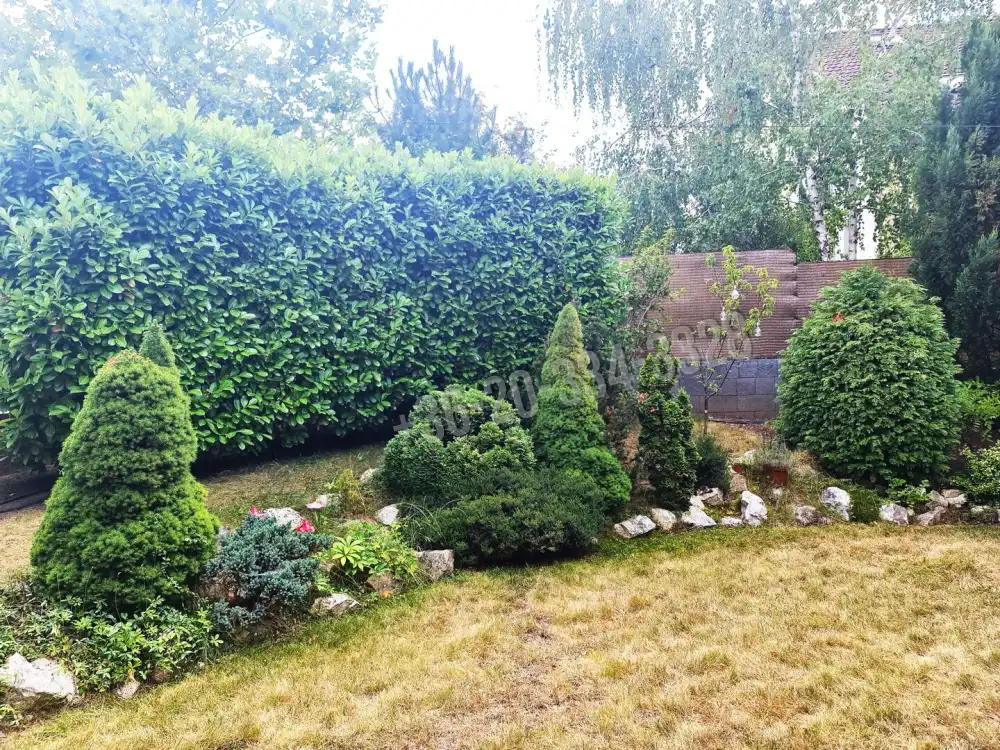 Budapest, XVI. kerület - Rákosszentmihály