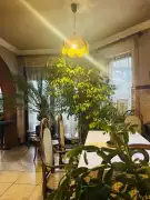 Budapest, XVI. kerület - Mátyásföld - Petőfikert