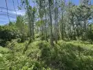 Nógrád megye - Cserháthaláp