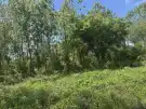 Nógrád megye - Cserháthaláp