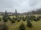 Nógrád megye - Csesztve