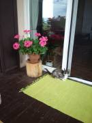 Pest megye - Csörög