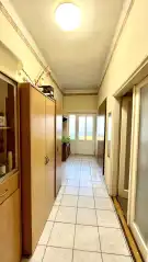 Pest megye - Dabas