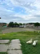 Pest megye - Dabas