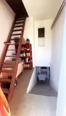 Pest megye - Dabas