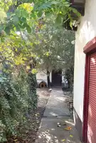 Pest megye - Dabas