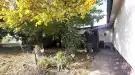 Pest megye - Dabas